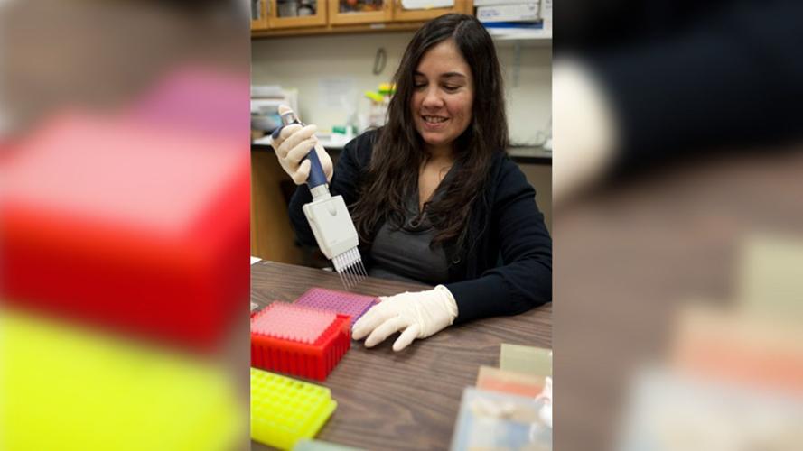 Head lice DNA discovery reveals new details about first Americans