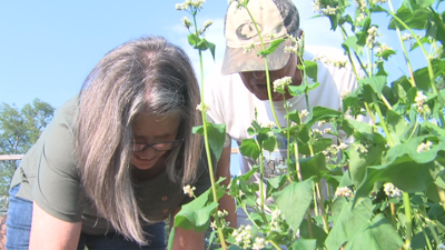 UNSUNG HERO: Tom and Shari Sadowski