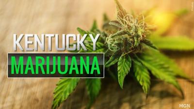 Kentucky Marijuana