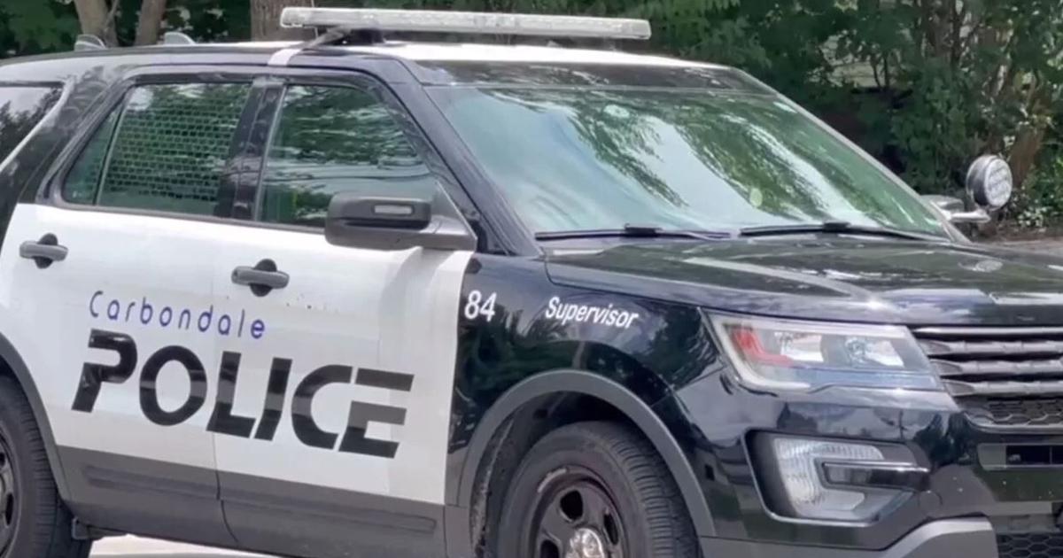 Three arrested in Carbondale in connection to assault incident | Crime ...