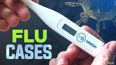 Flu cases