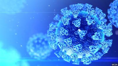 virus, covid