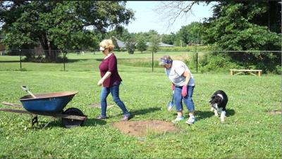 Dog Park Clean Up