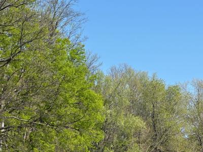 Windy conditions, sunny skies