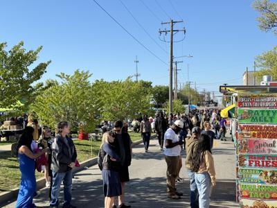 Carbondale Spring Fest 2024