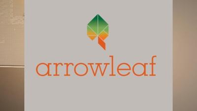 Arrowleaf