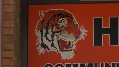 HerrinTiger