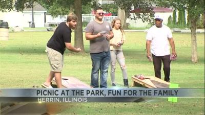 herrin rotary club picnic at the park