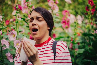 Allergies, asthma linked to heart disease, study says