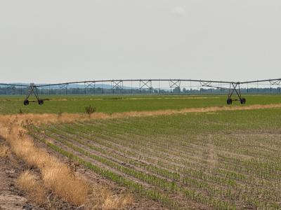 Southern Illinois farming crop acres in Rockwood, IL