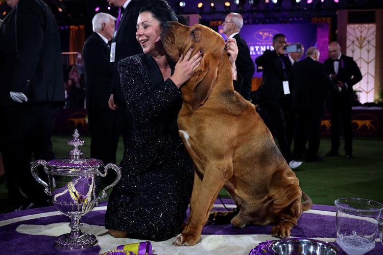 what tv station is the westminster dog show on