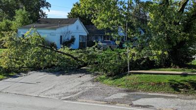 Tree down on Jefferson Street.jpg