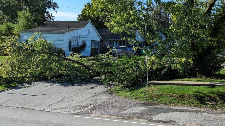 Tree down on Jefferson Street.jpg
