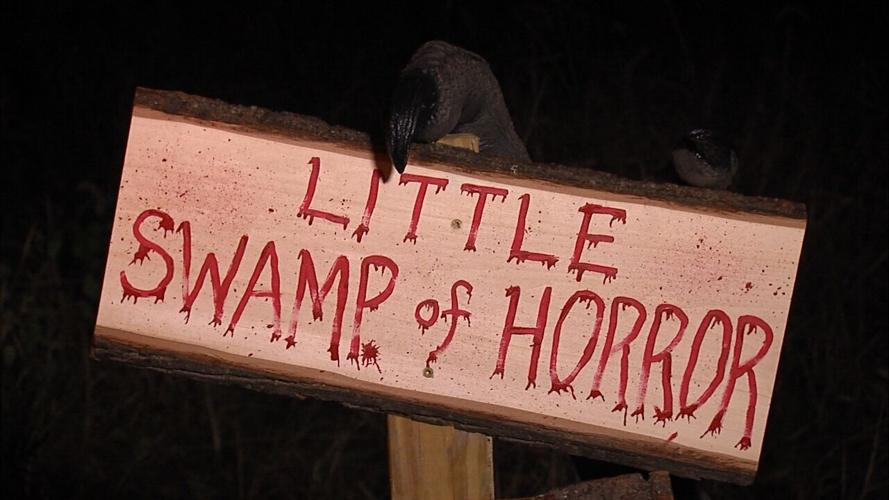 Little swamp of horror