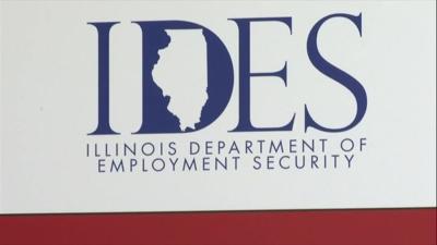 IDES logo