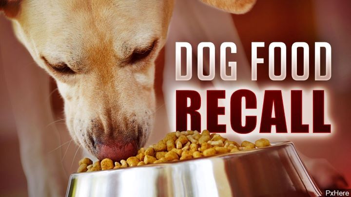 Dog Food Recall