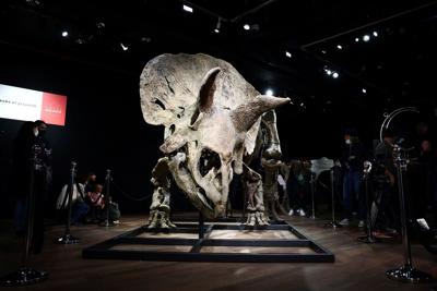 Mystery of warm-blooded dinosaurs could be unraveled by new study
