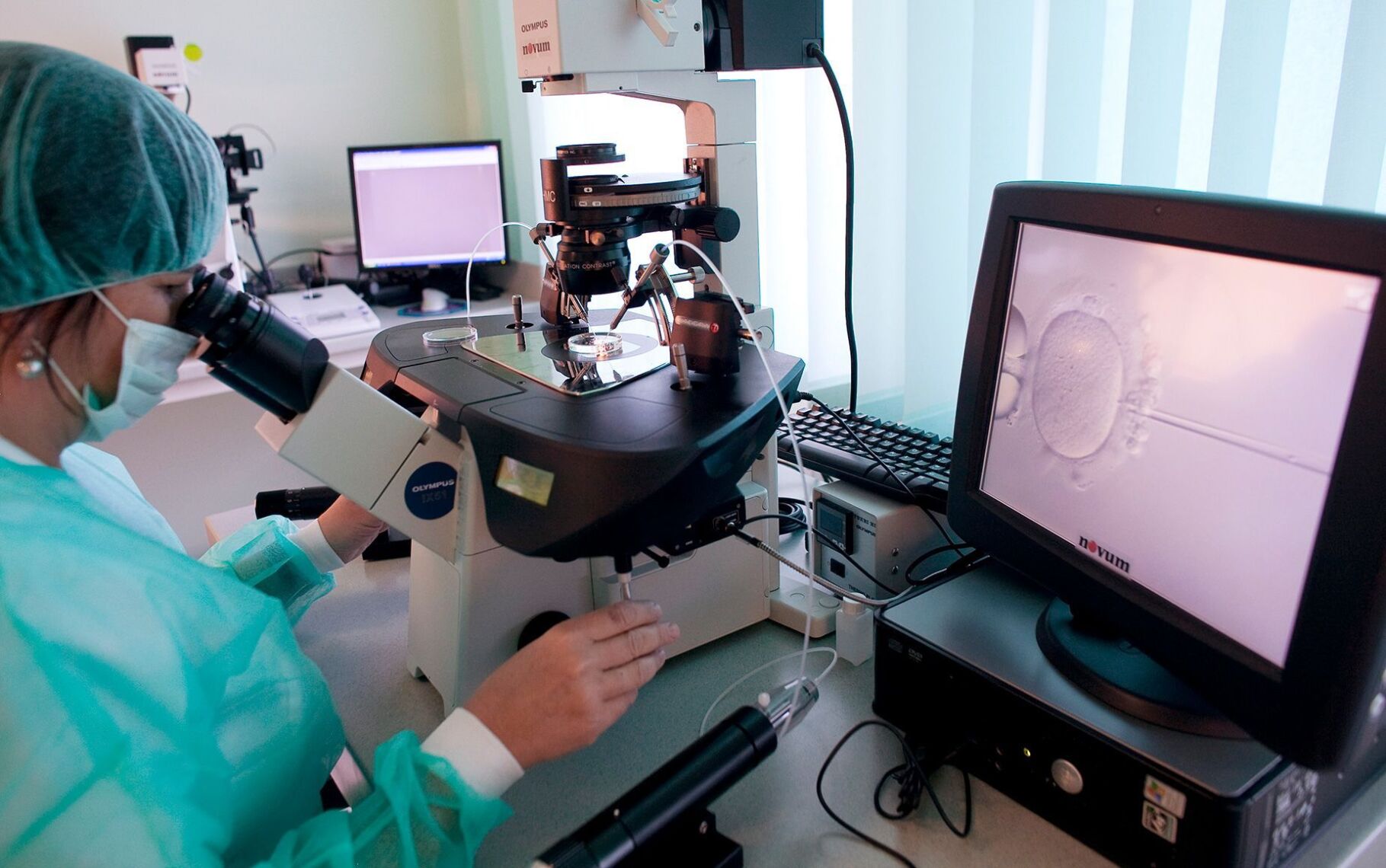 About 2% of babies born in the US are from IVF. Here’s what you need to know about it