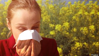 allergy season mgn