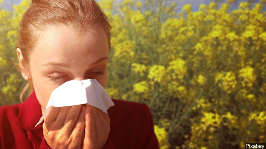 allergy season mgn
