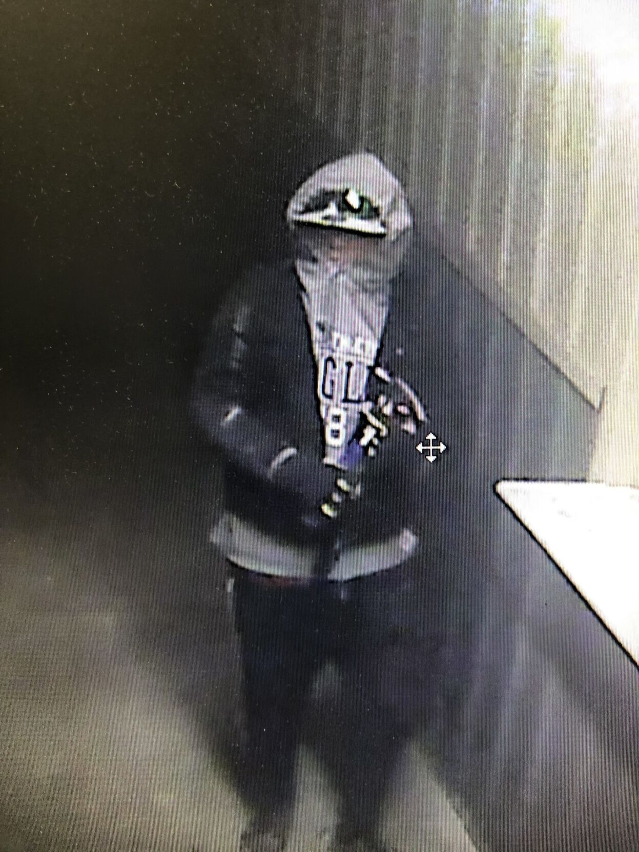 Saline Break-ins