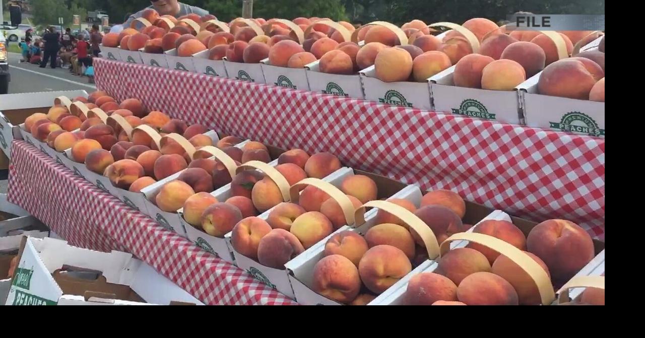The 84th Cobden Peach Festival is happening this Friday & Saturday