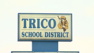 TricoPic