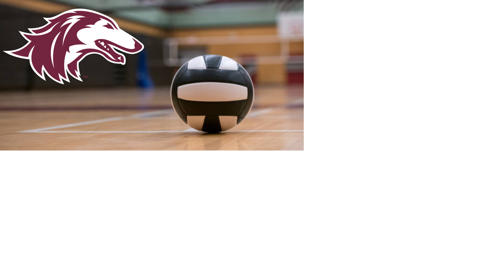 Southern Illinois volleyball triumphs over Evansville in season finale