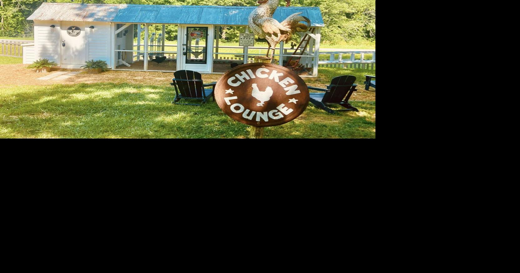 Rendleman Orchards debuts chicken coop before opening day News