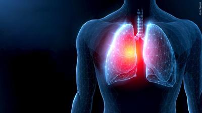 lungs