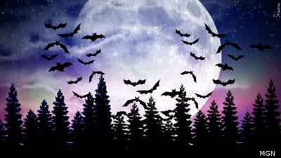 Trick-or-Treat 2022