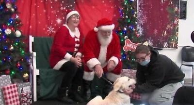 st. francis pets pics