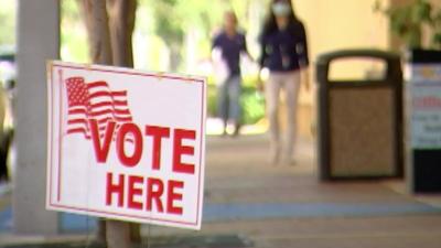vote