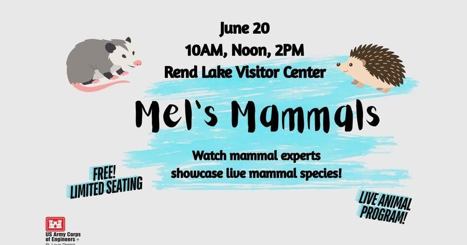 Exotic Animals Take Center Stage at Rend Lake Mammal Science Series