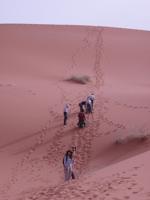 Ancient ‘star dune’ evidence isn’t missing. It’s been hiding in plain sight, radar reveals