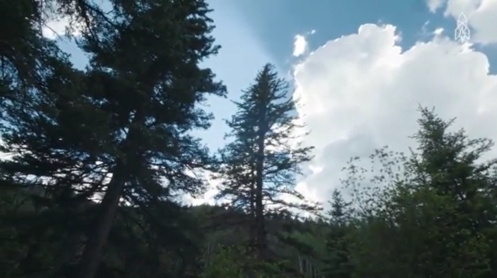 Forrest Fenn treasure 3