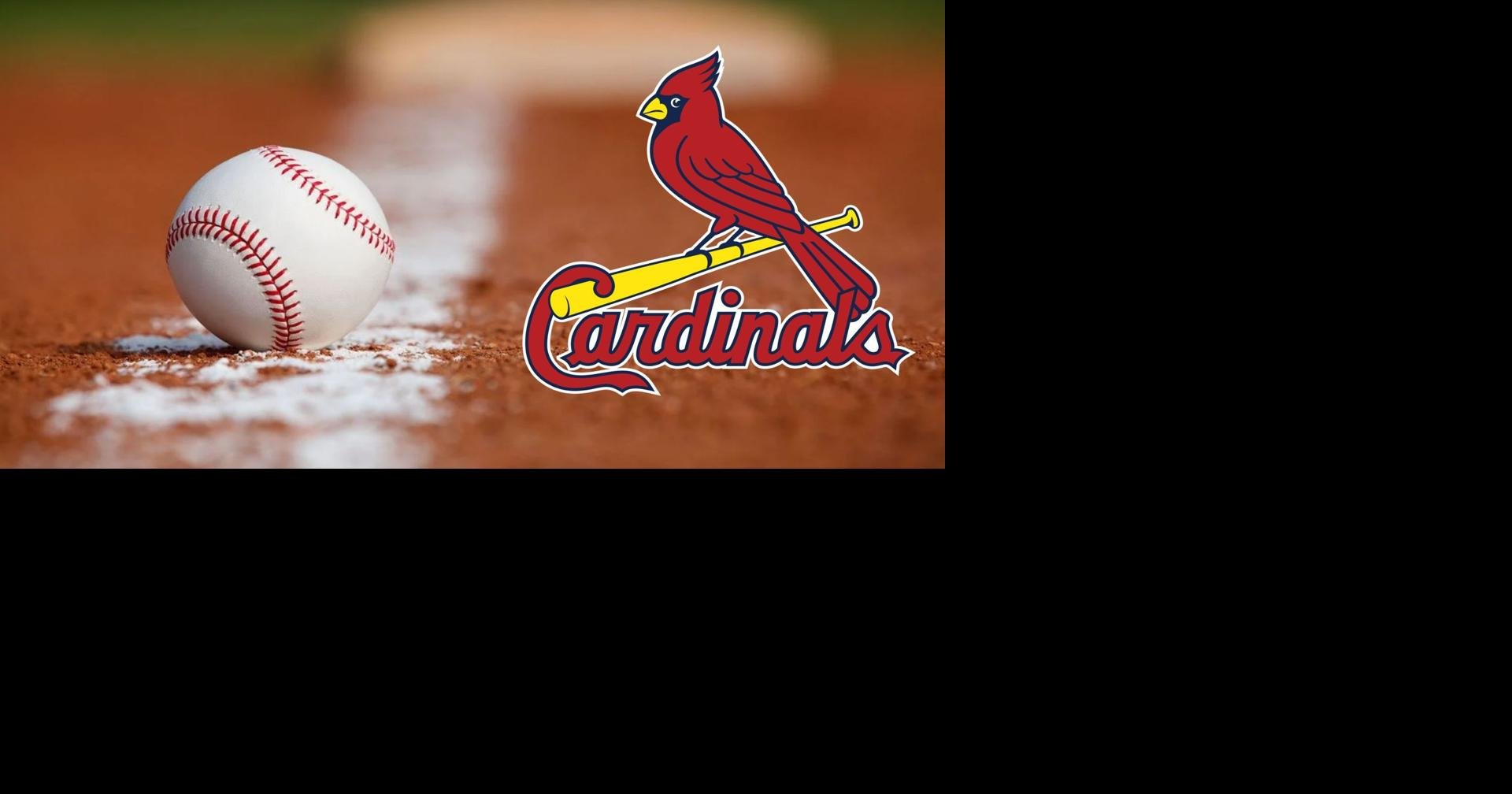 Download St Louis Cardinals Red Bird On Field Wallpaper