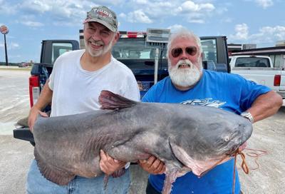 101-pound catfish reeled in on Mississippi River, News
