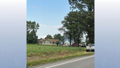 Sesser Fire