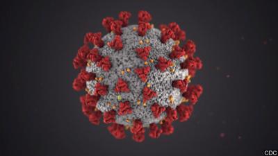 COVID, VIRUS