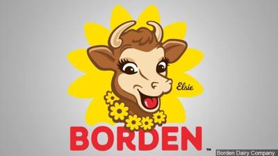 Borden Dairy Company