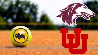 Saluki fans flock to Buffalo Wild Wings for SIU Softball Watch Party