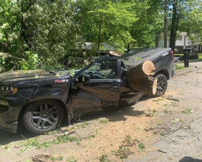 Fallen Missouri Tree