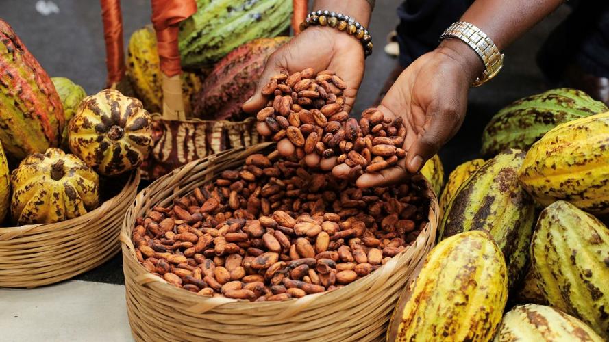 Chocolate prices are up 20% this Valentine’s Day as cocoa prices hit record
