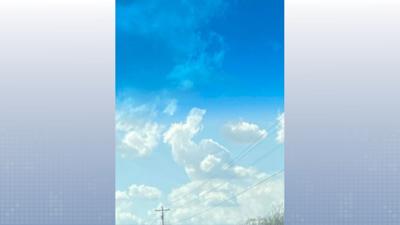 Cloud Bunny