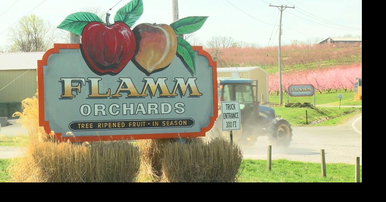 Local orchards brace for a hard freeze News