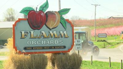 Orchards and Freeze PKG