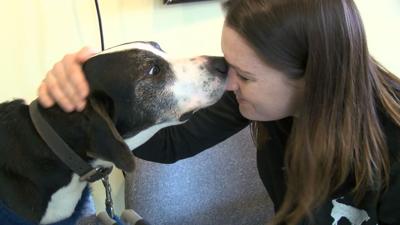 Frank Furever Homes PKG