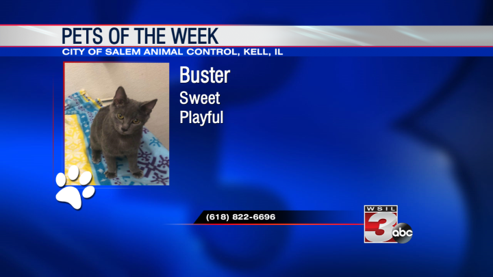 Buster 2