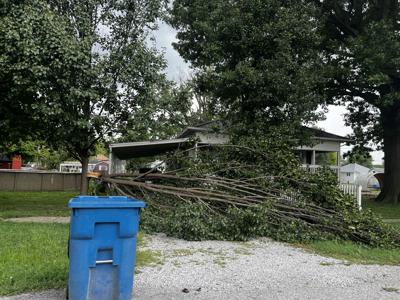 Tree blocking driveway in Sessor